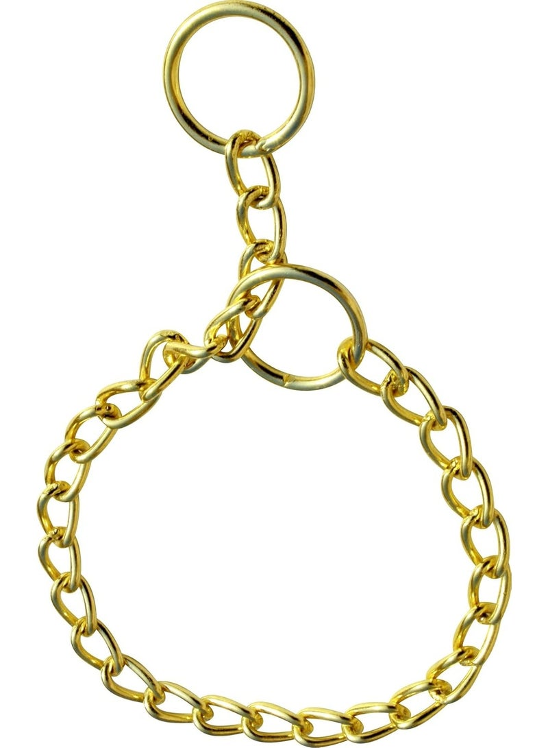 طوق ذهبي طويل للحيوانات الأليفة، 5 مم